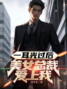 总裁扇耳光