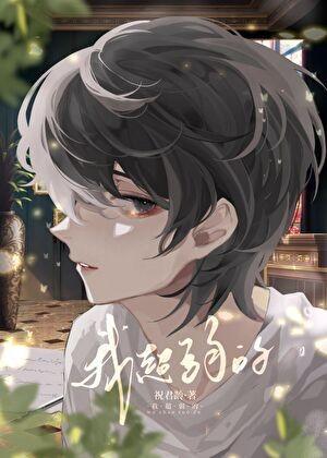 他的小纸片人txt