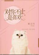 对你不止是喜欢全文免费