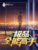 极品全能高手txt百度