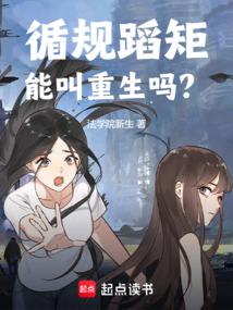 循规蹈矩能叫重生吗TXT