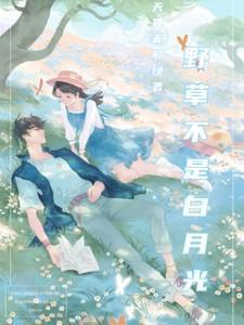 野草不是白月光沈确原著免费阅