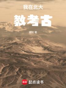 我在北大教考古QQ阅读
