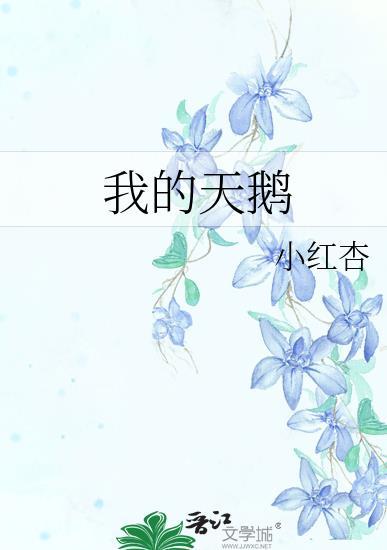 彭小莹为晓明读的书是