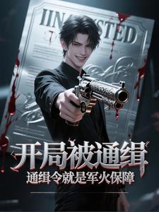 开局就被全国通缉的