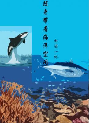 随身带着海洋空间GL